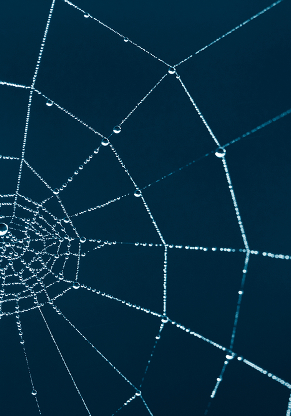 A tangled web: geopolitics, economic security and trade